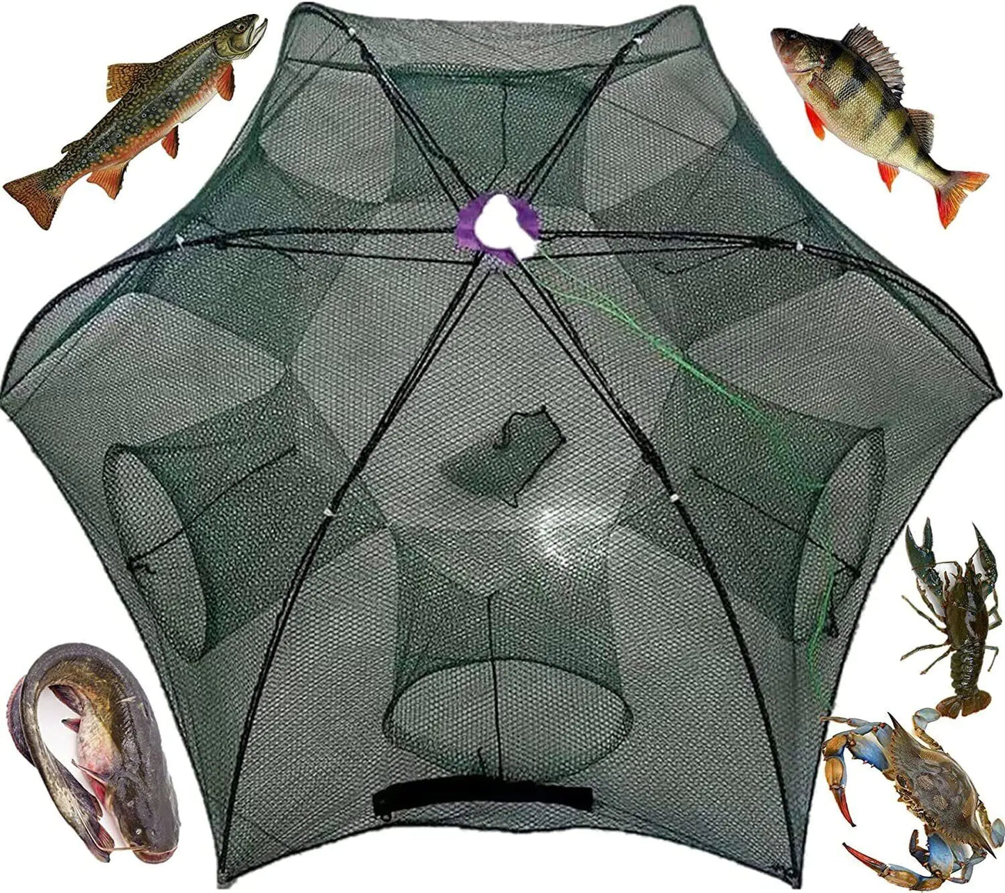 Fishing Bait Trap Crab Net Crawdad Shrimp Cast Dip Cage Fish Minnow Foldable NEW